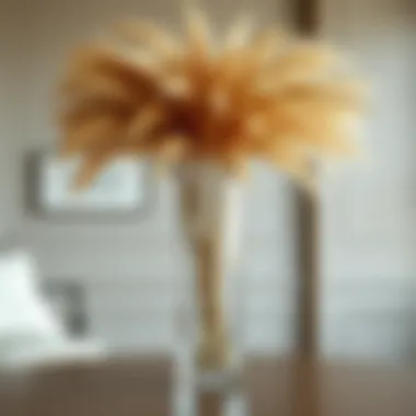 Contemporary tall vase showcasing pampas grass arrangement