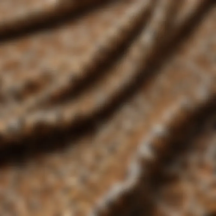 Close-up of leopard print fabric showcasing intricate patterns